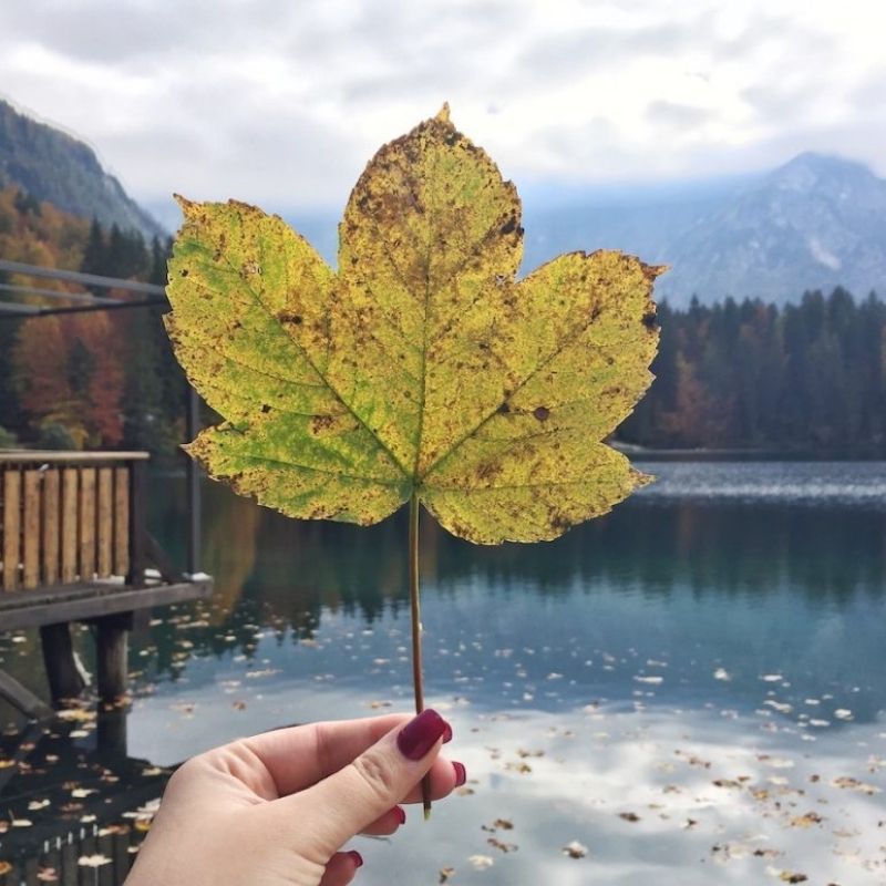 5 luoghi da non perdere in autunno in Friuli Venezia Giulia