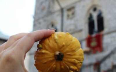 Festa della Zucca Venzone