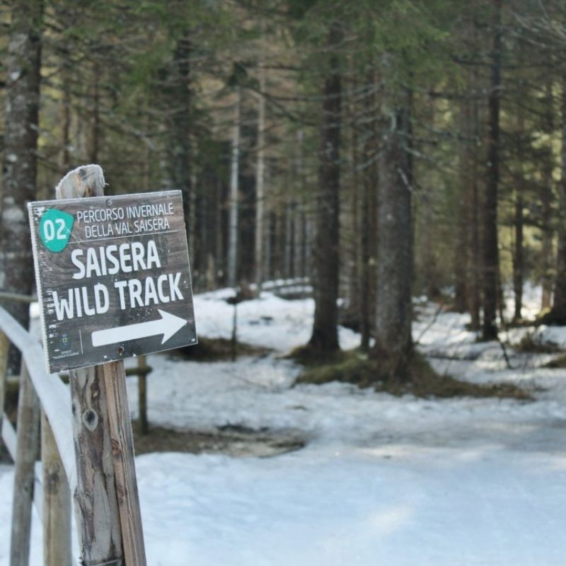 Saisera Wild Track