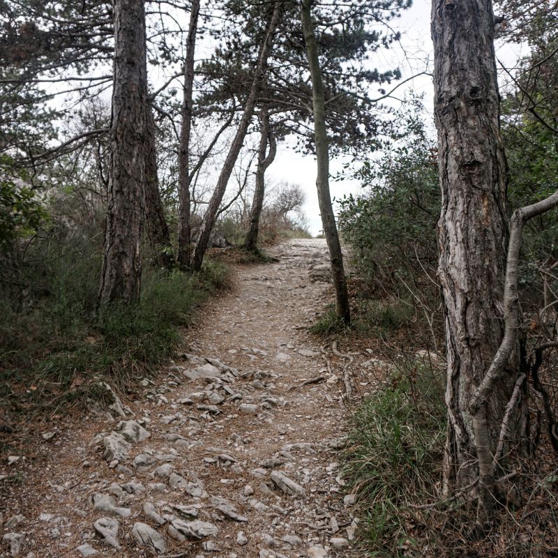 Sentiero Rilke