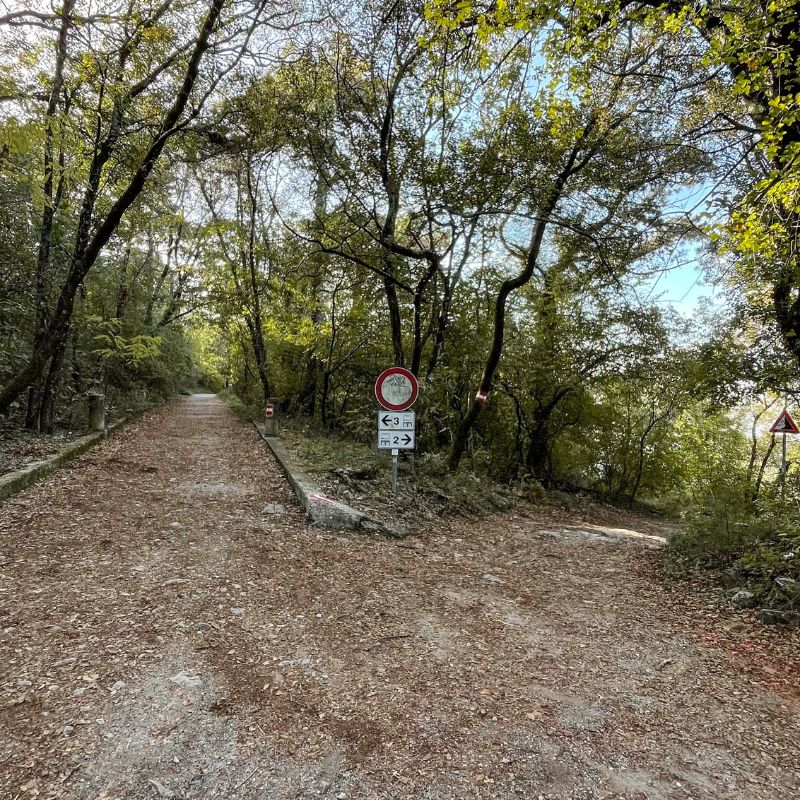 Sentiero della salvia Trieste