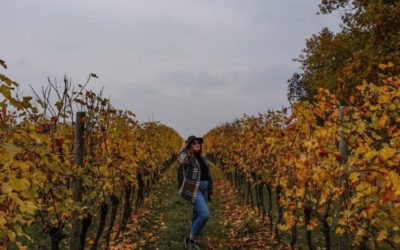 5 sentieri semplici da non perdere in autunno in Friuli Venezia Giulia