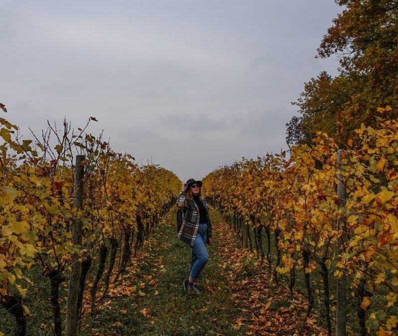 5 sentieri semplici da non perdere in autunno in Friuli Venezia Giulia