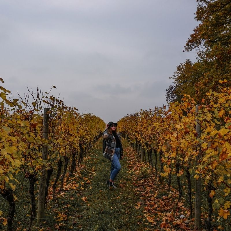 sentieri autunno Friuli Venezia Giulia
