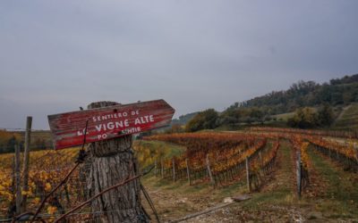 Sentiero delle Vigne Alte